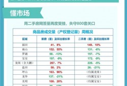 在深圳光明区如何请专业刑事律师作辩护