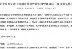 深圳市缓刑律师的庭辩护策略与实践