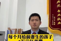 深圳龙岗抗税罪辩护律师：为纳税人权益保驾护航