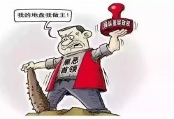 深圳罗湖抗税罪辩护律师：为纳税人权益而战