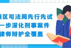 深圳龙华逃汇罪辩护律师电话：专业法律服务助力解决经济纠纷