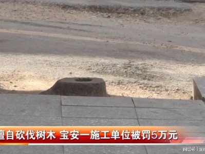 深圳宝安交通肇事逃逸辩护律师：专业辩护，为正义发声