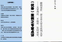 深圳盐田区虚开发票罪辩护律师：专业、高效、诚信为您保驾护航