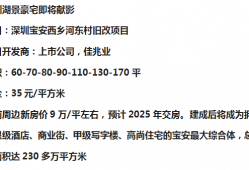 深圳市侵犯商业秘密罪辩护律师的选择与聘请指南