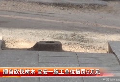 深圳市交通肇事罪辩护律师电话：寻求专业法律援助，为您的权益保驾护航