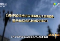 专业刑事辩护律师：捍卫正义，守护法治