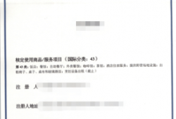 深圳龙华区骗取贷款辩护律师：法律视角下的风险与应对