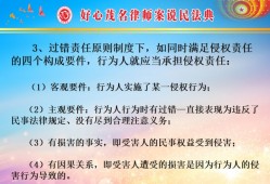 责任事故赔偿法：理解与应用