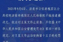 专业刑事案律师：如何在法律框架内为您争取最大权益