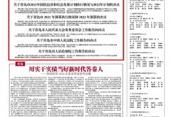 深圳坪山骗取贷款辩护律师电话：如何寻求专业法律援助？