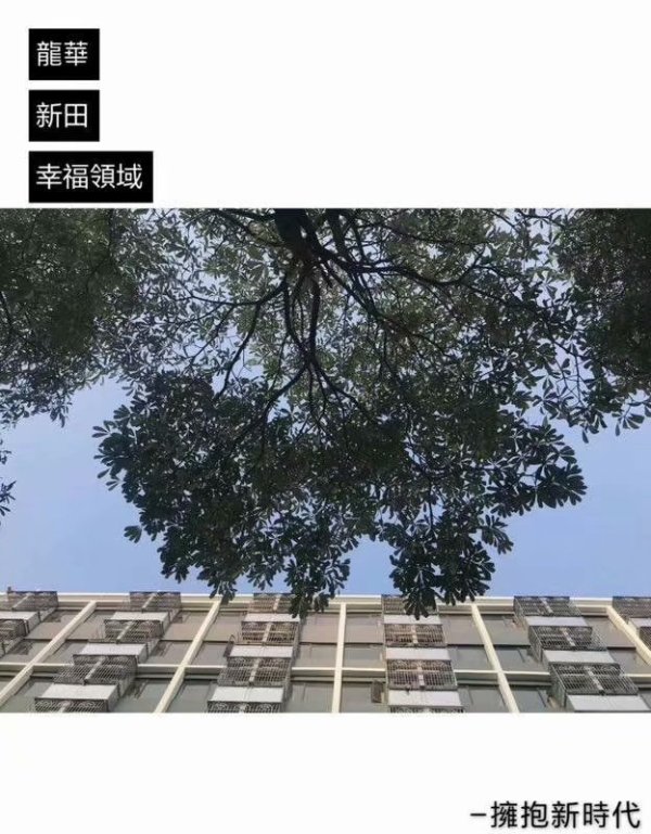 深圳龙华集资诈骗罪辩护律师咨询电话：寻求专业法律援助，为您的权益保驾护航  第2张